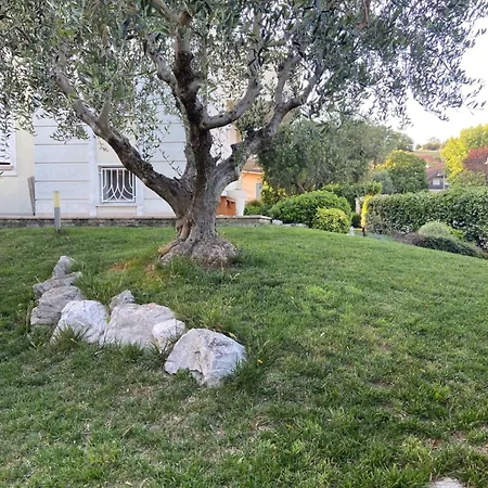 Luliwa * SantʼArcangelo di Romagna